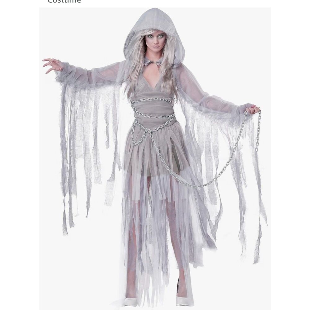 Haunting Beauty Spirit Halloween Costume Adult Small 6–8 California Costumes